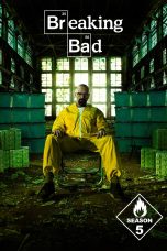 Breaking Bad Season 5 (2012) Breaking Bad Season 5 (2012)