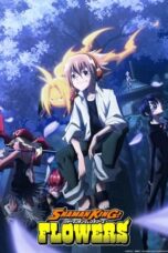 Shaman King: Flowers (2024) Shaman King: Flowers (2024)