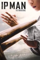 Ip Man: The Awakening (2022) Ip Man: The Awakening (2022)