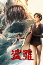 The Shallows (2025) The Shallows (2025)