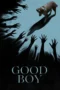 Good Boy (2025) Good Boy (2025)